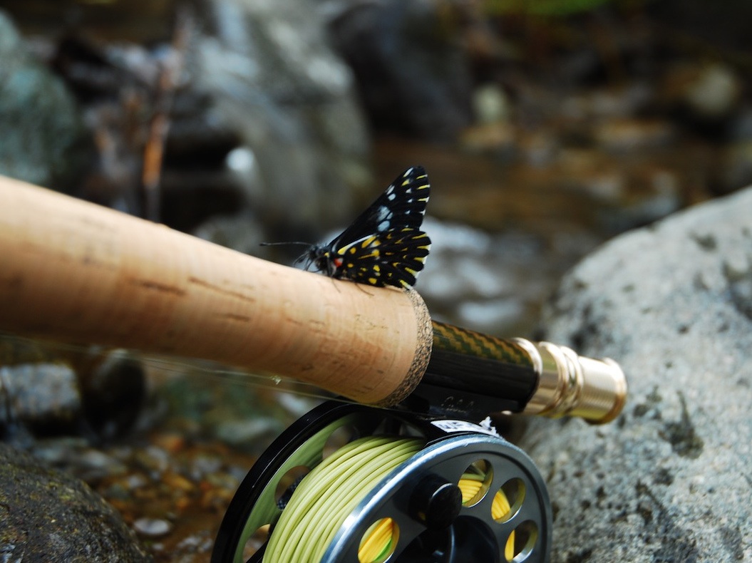 Whip'R Series Graphite & Fiberglass Fishing Rod