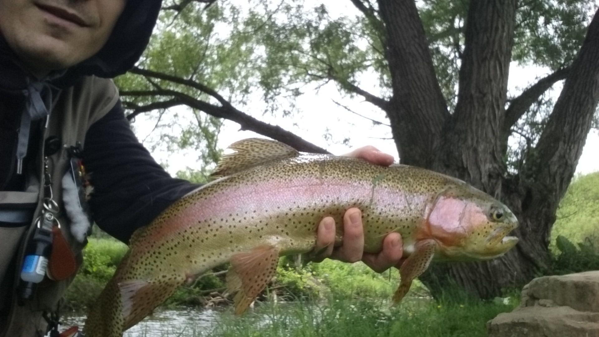 Best Fly Fishing in Pennsylvania - Trout Haven