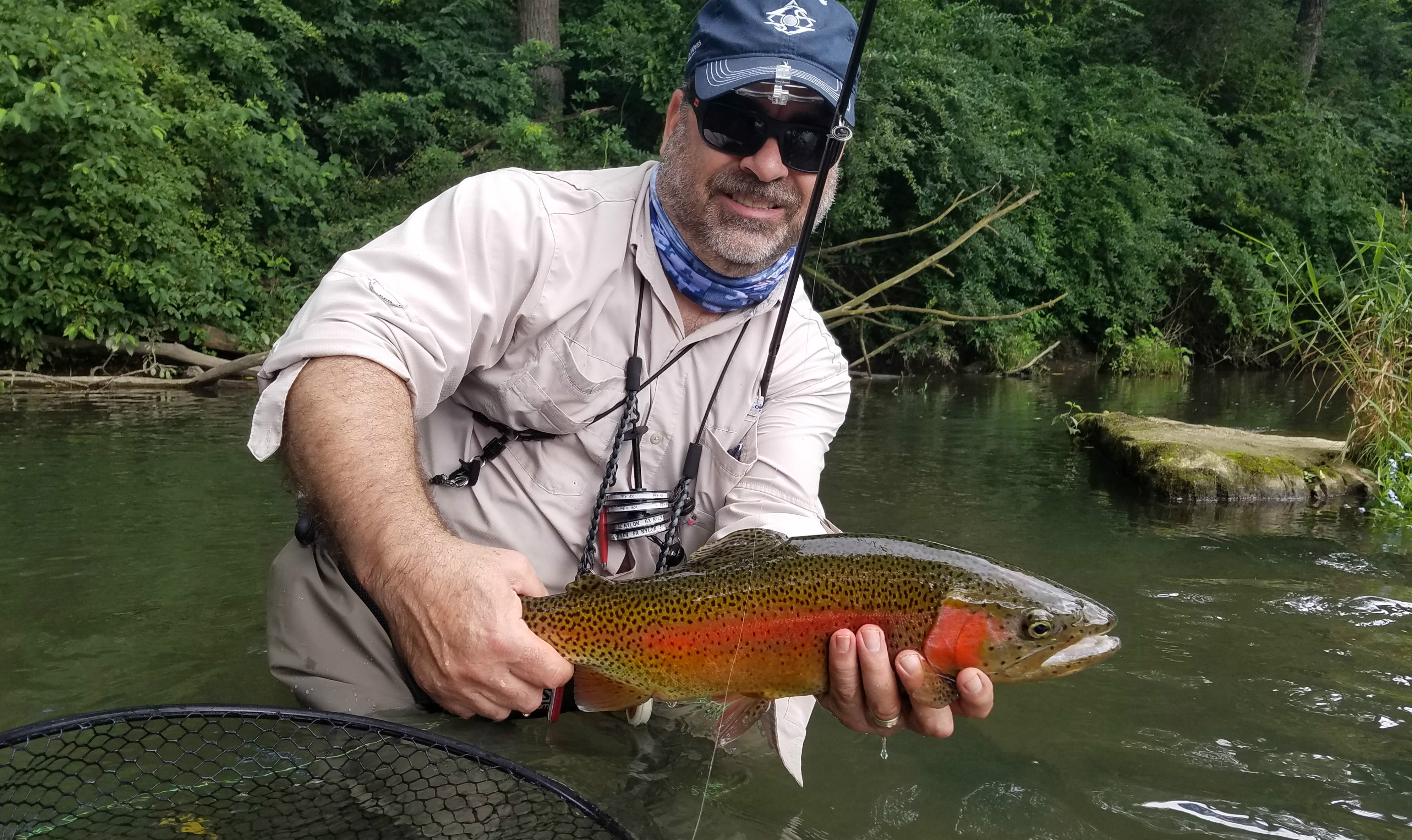 Tricos and Terrestrials  Summer Fly Fishing in Central PA