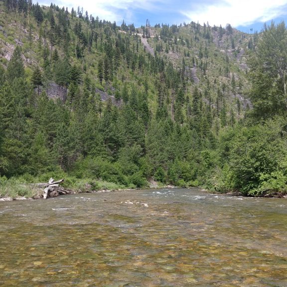 Missoula MT Fly Fishing Buddy Trip