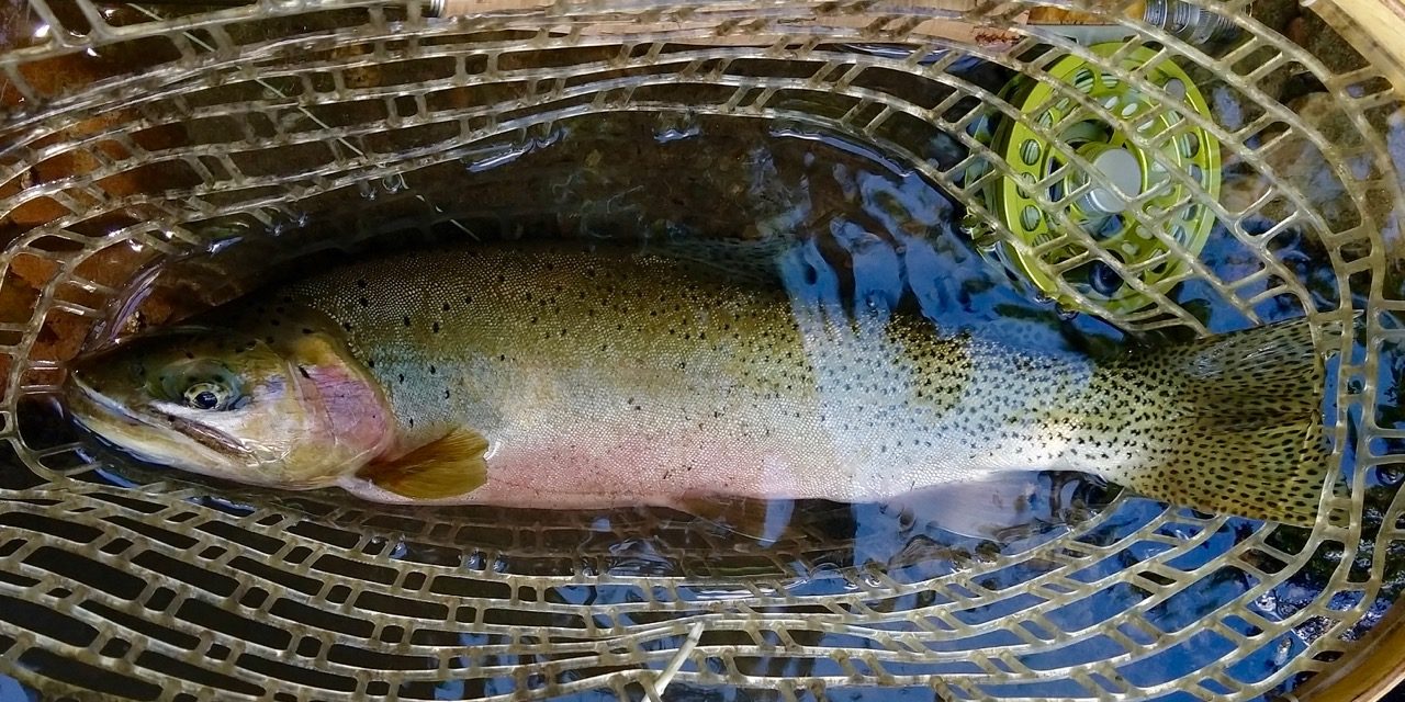 Missoula MT Fly Fishing Buddy Trip